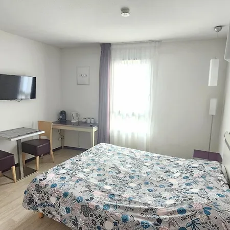 Hotel Moderne Et Equipe Centre Lourdes